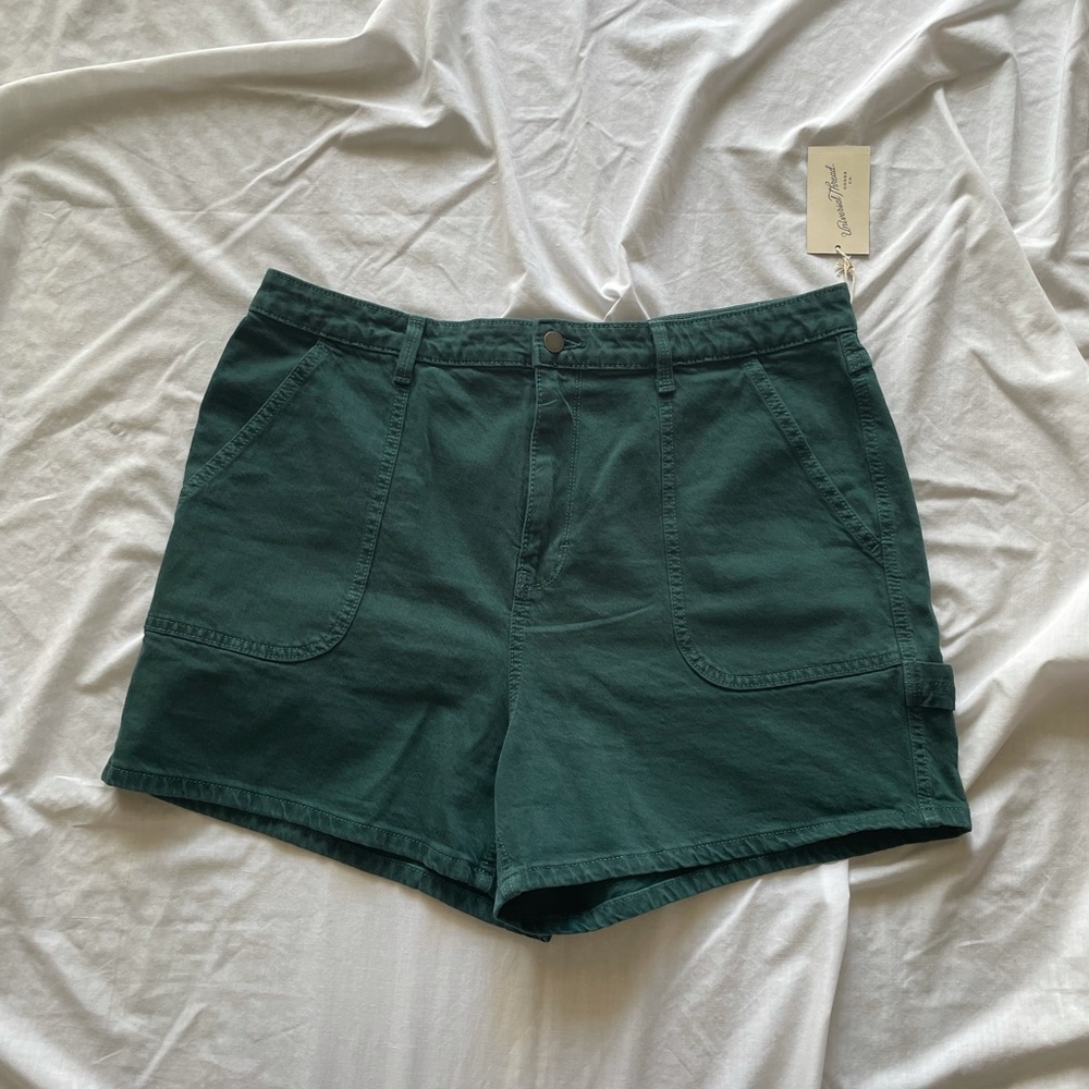 Teal cargo carpenter shorts